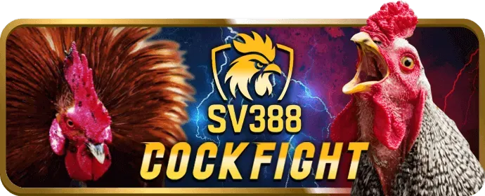 Hỗ trợ chat trực tuyến b29 bar